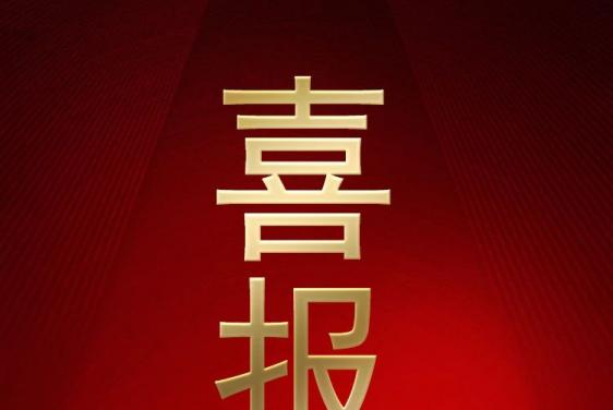 喜報(bào)丨魯麗集團(tuán)榮登“2025中國(guó)民營(yíng)企業(yè)500強(qiáng)”第180位